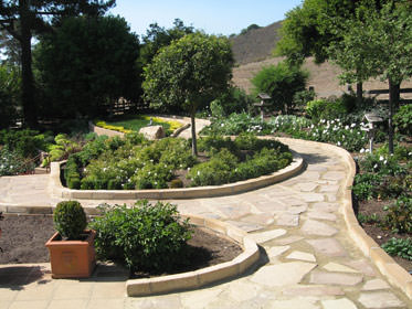 Image of Gallery Item IMG 1129