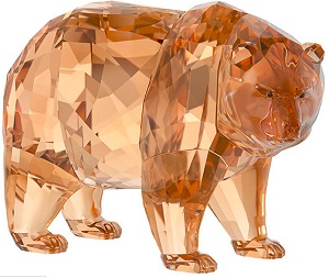 2017 SCS annual edition mother bear