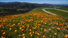 The Preserve 4