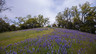 The Preserve 5