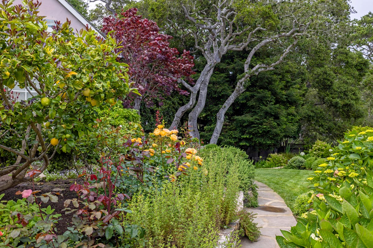 Carmel Stone Pig Garden