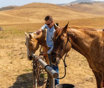 Matt Pridey with horses on the family ranch